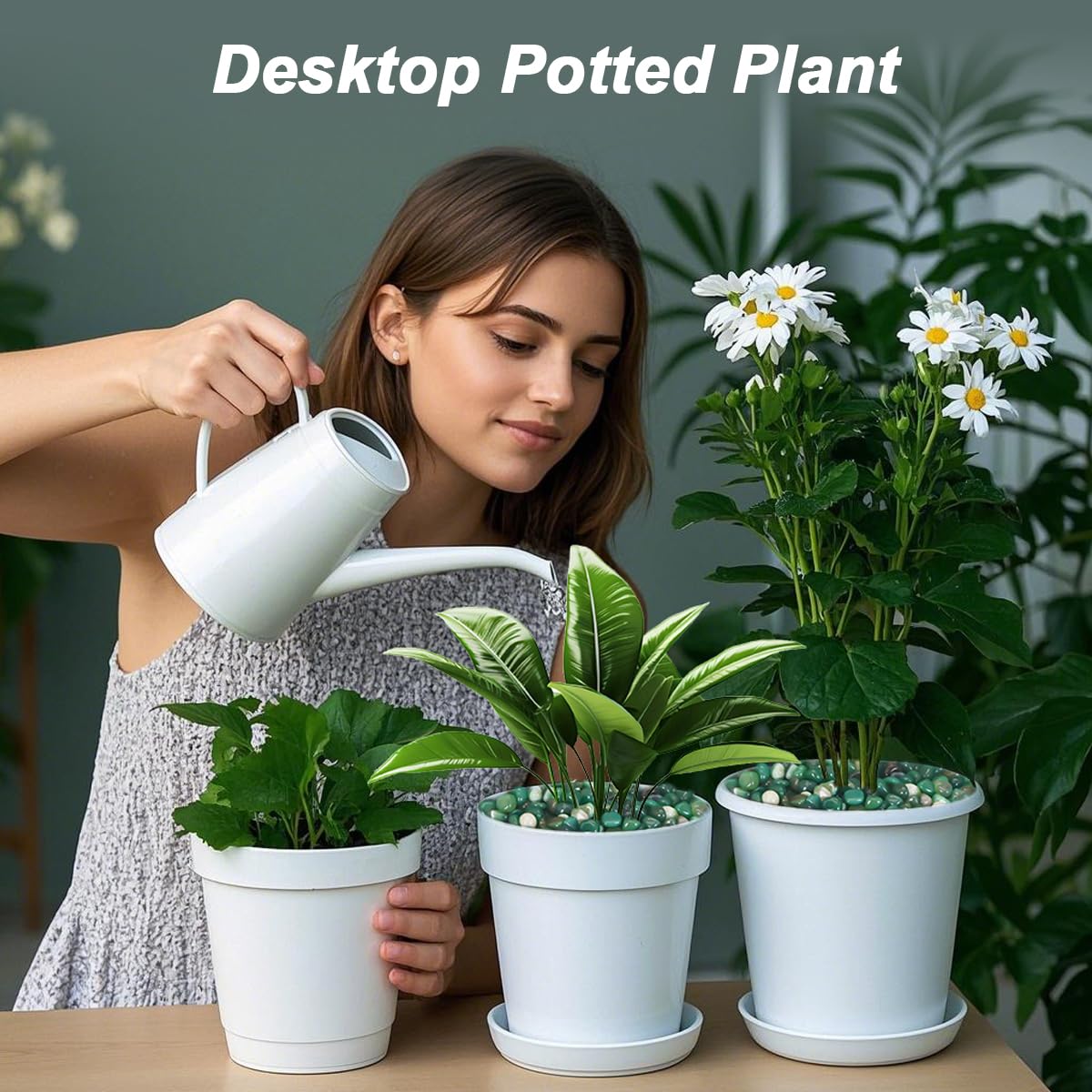 Rocks for Plants Indoor,Landscaping Pebbles, River Rocks Decorative Ornamental Pebbles Garden Landscaping Stones, DIY Smoothed Rocks for Potted Plant Resin Art Vase Fillers Aquarium Gravel Rocks