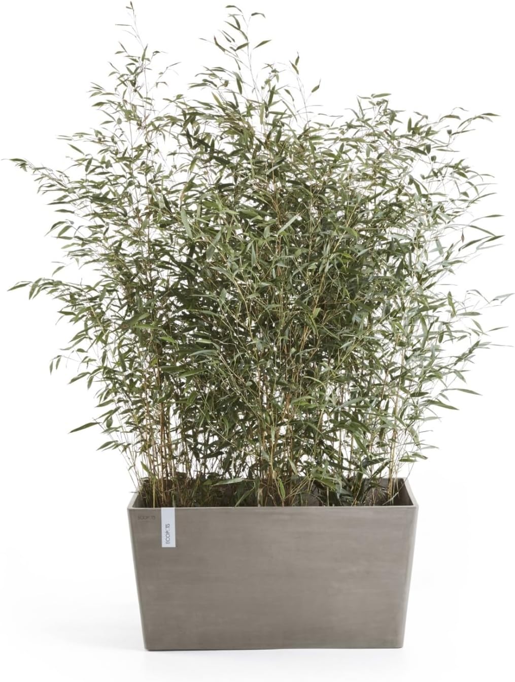 Ecopots Paris Durable Modern Rectangular Indoor/Outdoor Recycled-Based Composite Flower Planter, Taupe, 31.5"