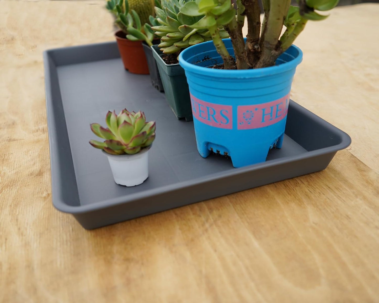Rectangle Plant Tray, Plant Drip Tray, Plant Pot Saucers, Plant Germination Trays, Plant Saucers, 11'' x 9'' x 1.2'' (2 pack), Gray