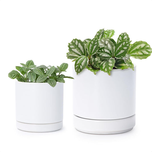 D'vine Dev 3.5 Inch & 4.7 Inch Ceramic Planter Pots for Plants with Drainage Hole and Saucer, X-Small Plant Pots Set, White, 94-G-XS-1