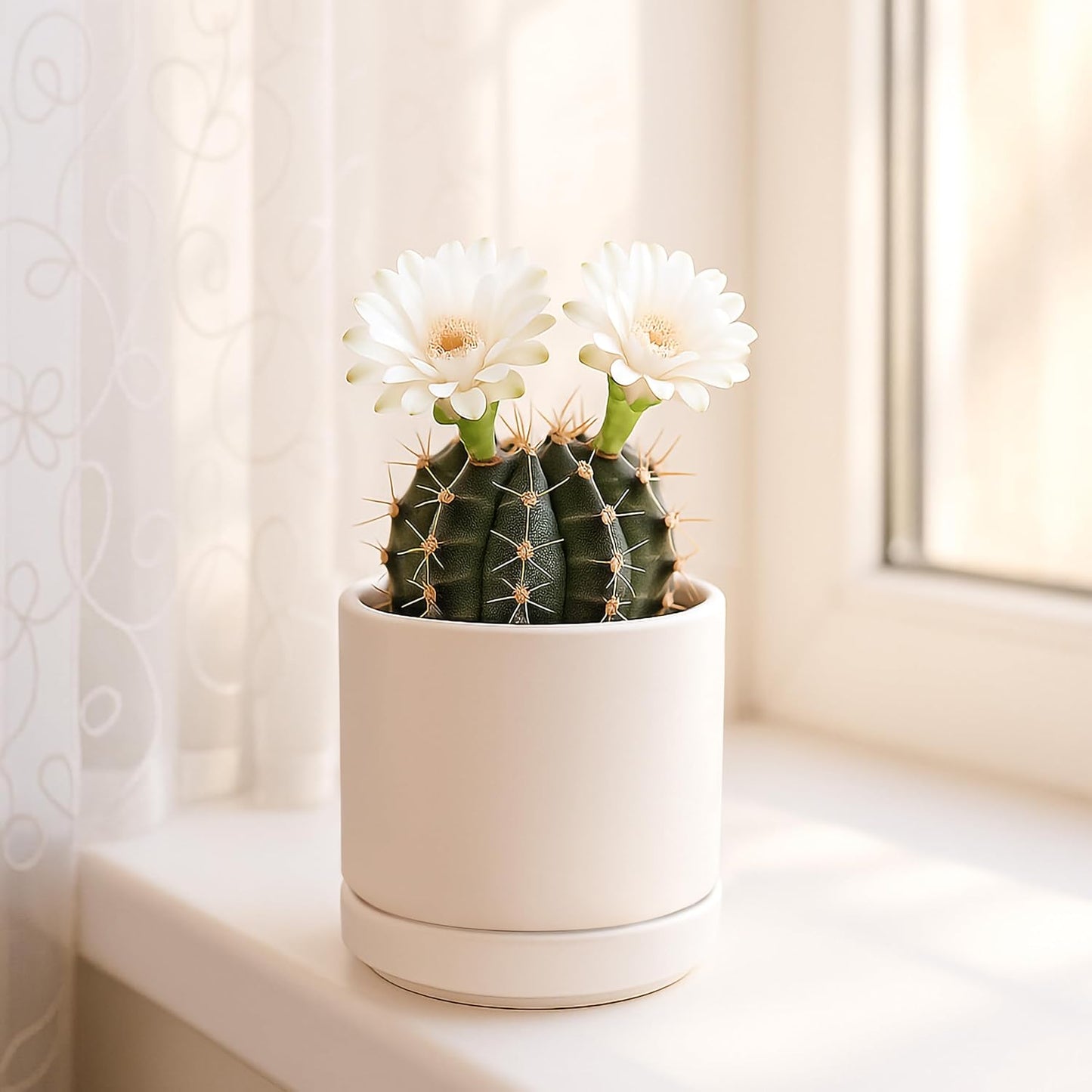 D'vine Dev Set of 2 Plants Pots, 3.5 Inch Ceramic Planter Pot for Plants with Drainage Hole and Saucer, Oatmeal, 94-V-A-8