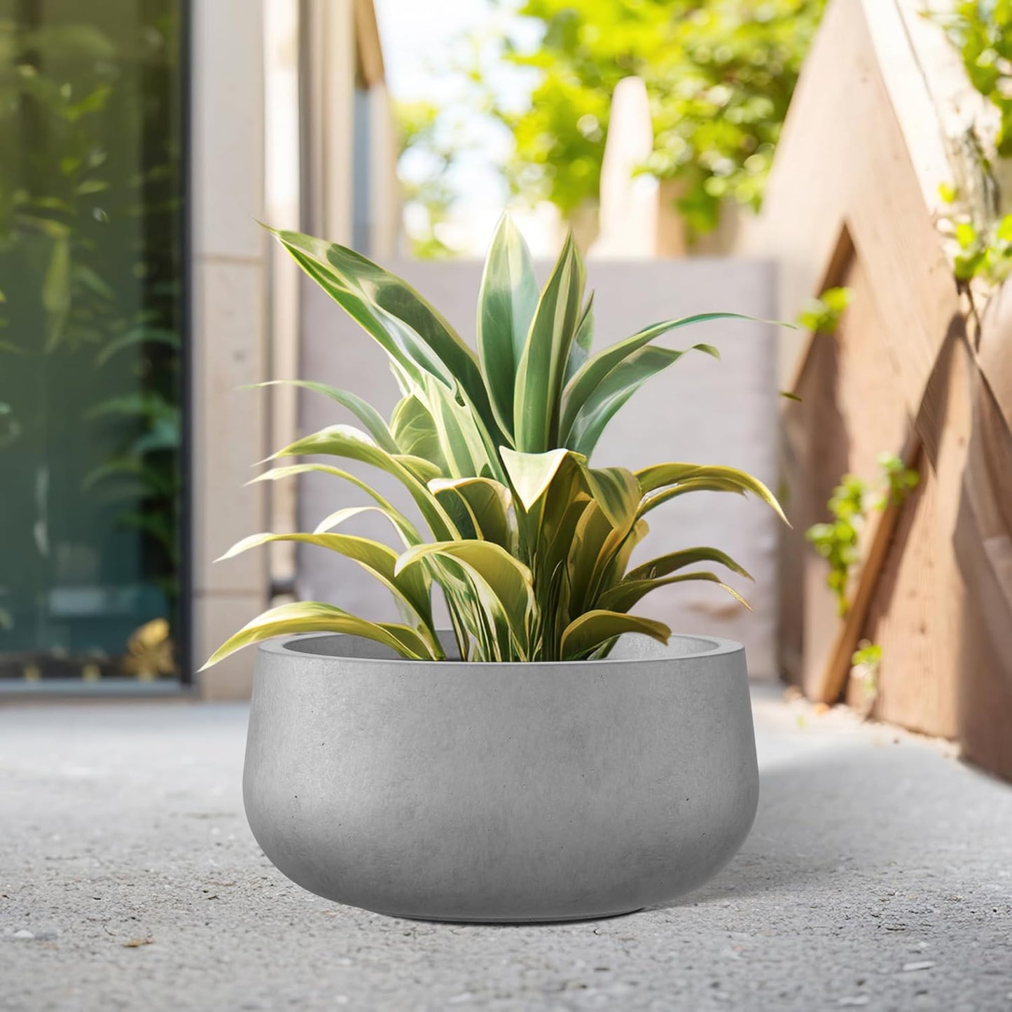 Kante 11.8" Dia Round Concrete Planter, Cement Plant Pots with Drainage Hole and Rubber Plug for Outdoor Indoor Garden Home, Modern Curvaceous Design, Natural Concrete