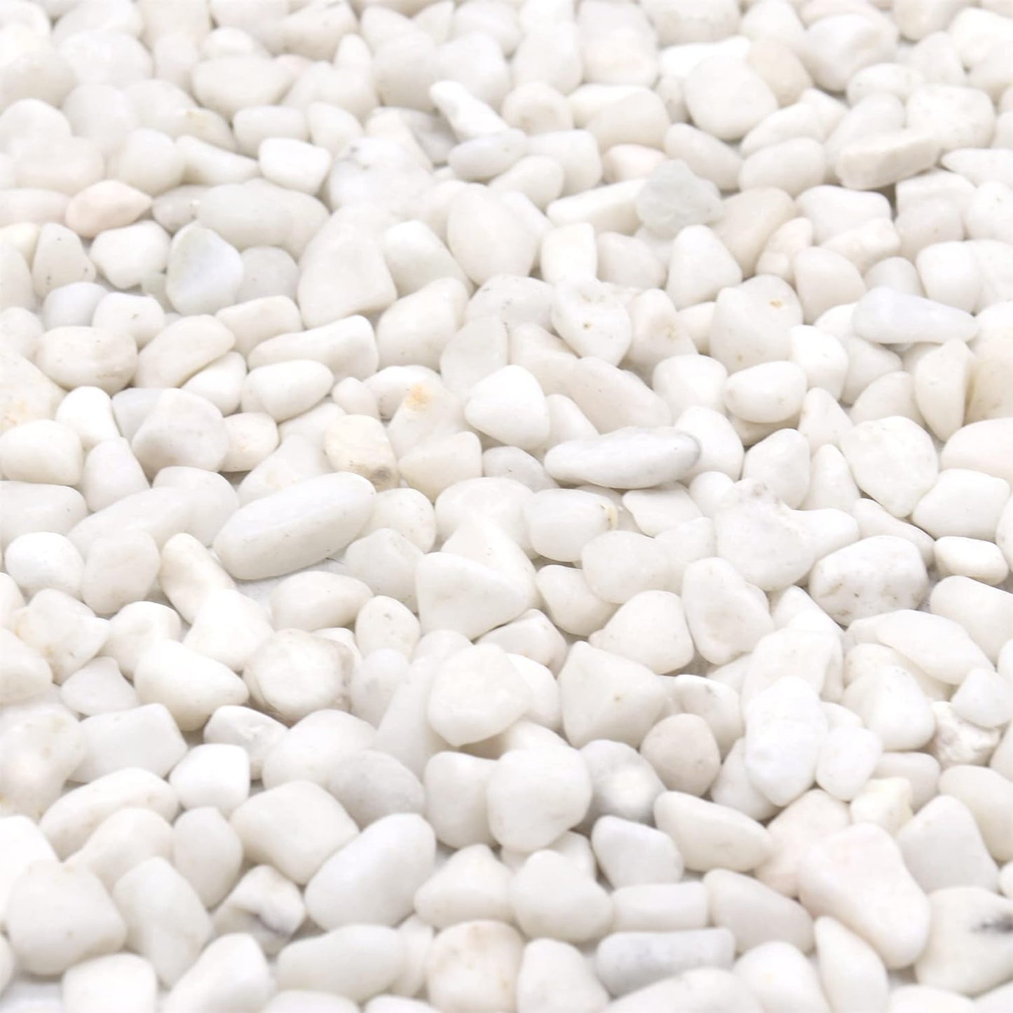 White Rocks for Plants & Garden. Decorative Polished Pebbles. 3/8 Inch 2lbs for Succulents, Vases & Pots (XSM (0.375 Inch), White - Lightly Polished, 2)