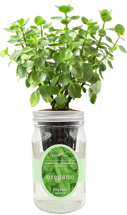 Hydroponic Herb Growing Kit, Self-Watering Mason Jar Herb Garden Starter Kit Indoor, Grow Your Own Herbs from Organic Seeds (Oregano)