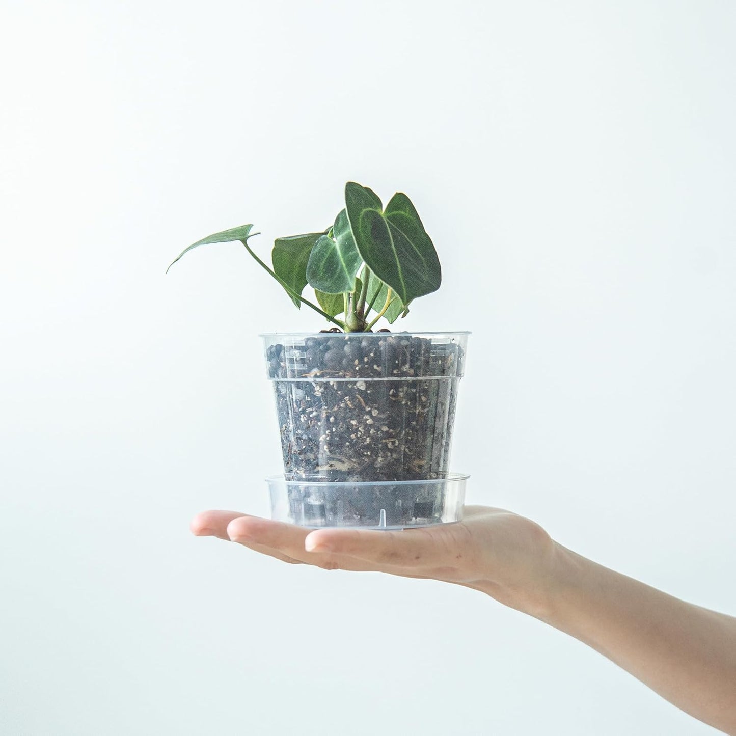 4 Inch Clear Plastic Plant Pot with Drainage Holes, Interlocking & Detachable Tray - Deep Saucer - Durable BPA-Free Plastic, Transparent Design, Raised Base for Airflow, Set of 6, 92-X-A-2