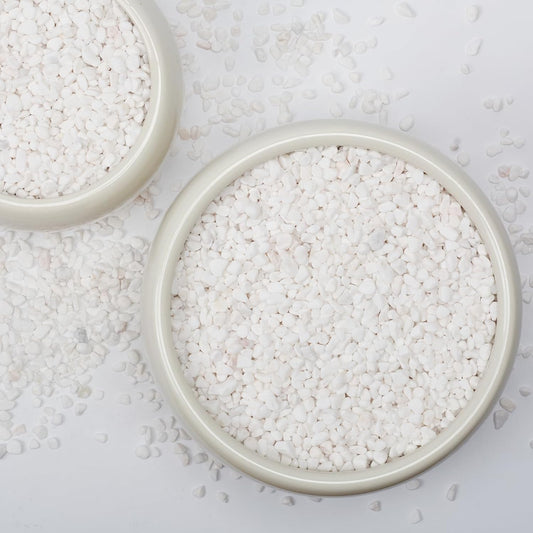 1/5 Inch White Succulent Cactus Gravel, 5 lbs – Ideal for Succulent Plant Pots, Vase Fillers, Glass Containers, Aquariums, Patios, and Outdoor Gardening River Stones (White, 5 Pounds)