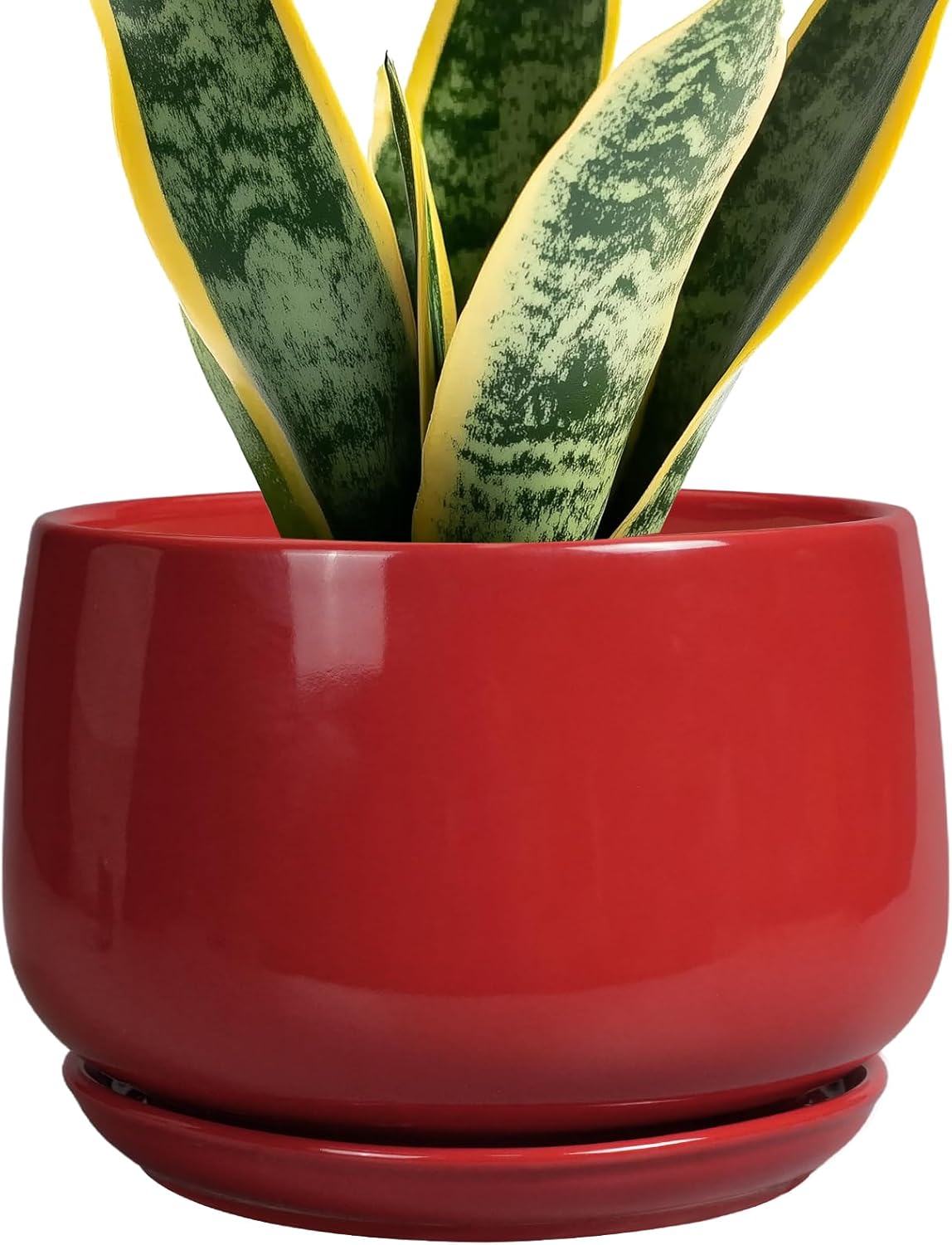 G EPGardening Ceramic Planter 7 Inch - Flower Pots for Indoor Plants, Round Planter with Drainage and Ceramic Tray, Modern Plant Pot, Bathroom Decor, Teacher Gifts, Red