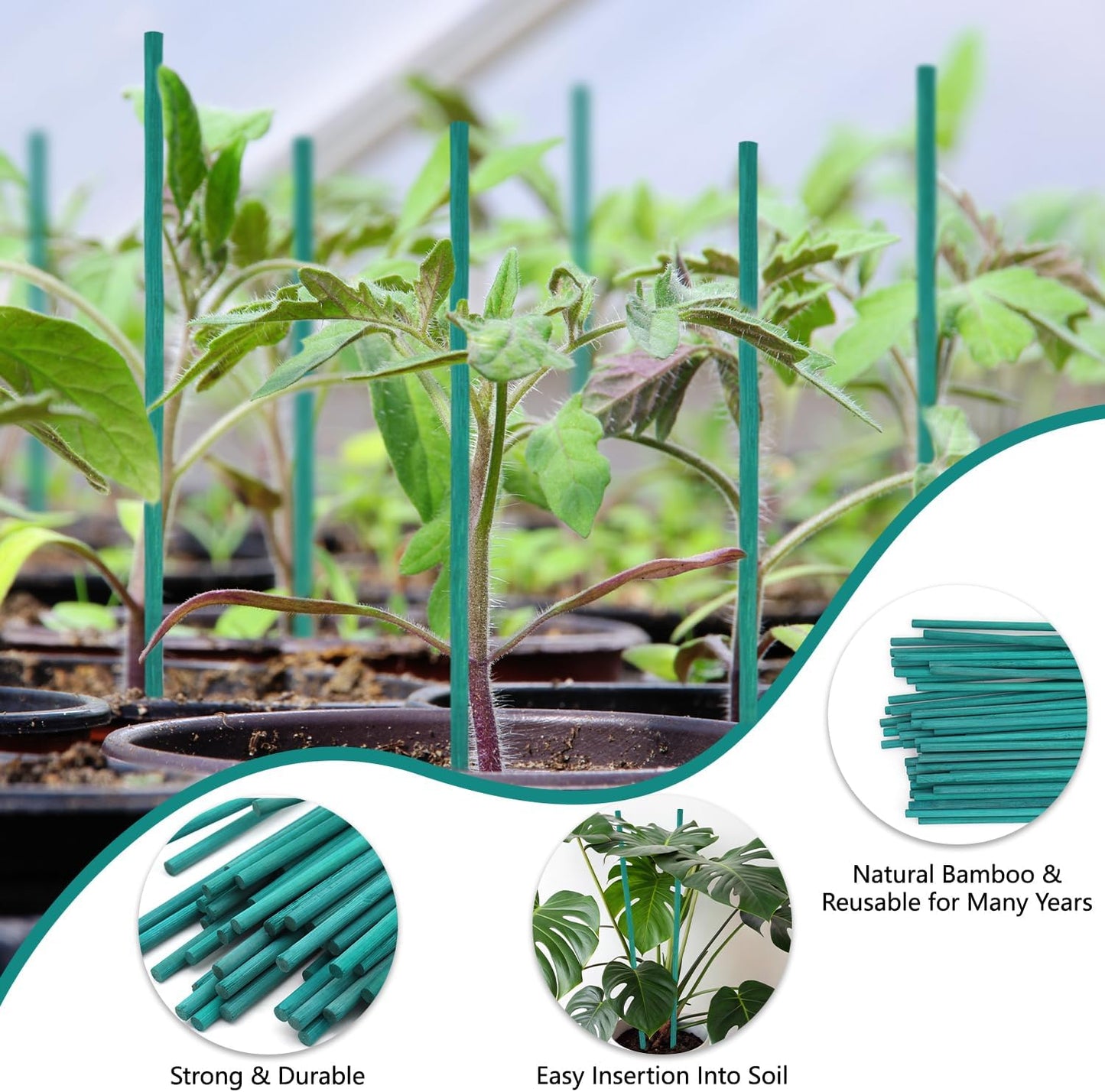 Bamboo Plant Stakes 50PCS, 18Inch Natural Bamboo Stakes Garden Stakes, HAINANSTRY Plant Sticks Support for Indoor and Outdoor Plants, Stakes for Gardening, Orchid Tomato Vegetable Stakes for Garden