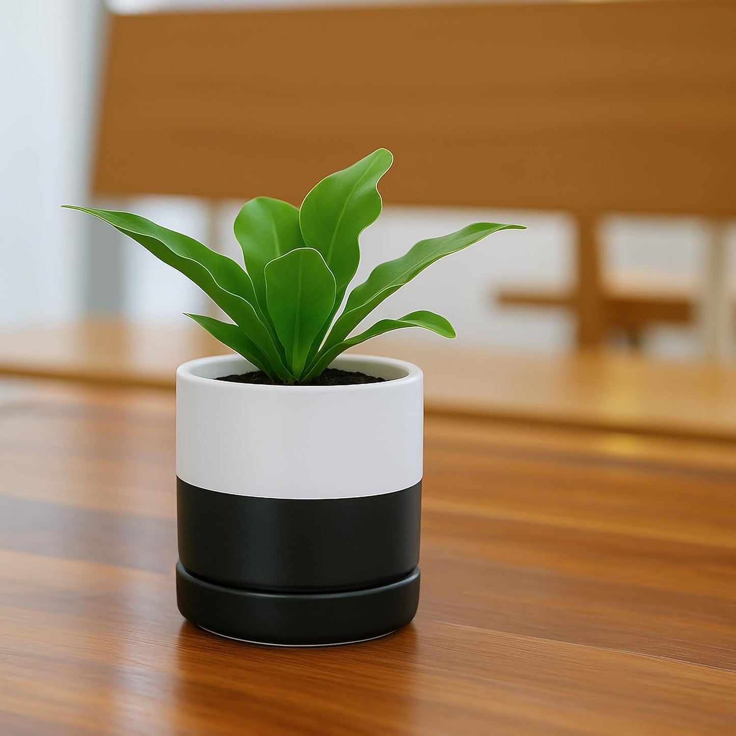 D'vine Dev 3.5 Inch Ceramic Planter Pot with Drainage Hole and Saucer, Indoor Cylinder Round Planter Pot, Layered Monochrome Black & White, 94-O-A-L