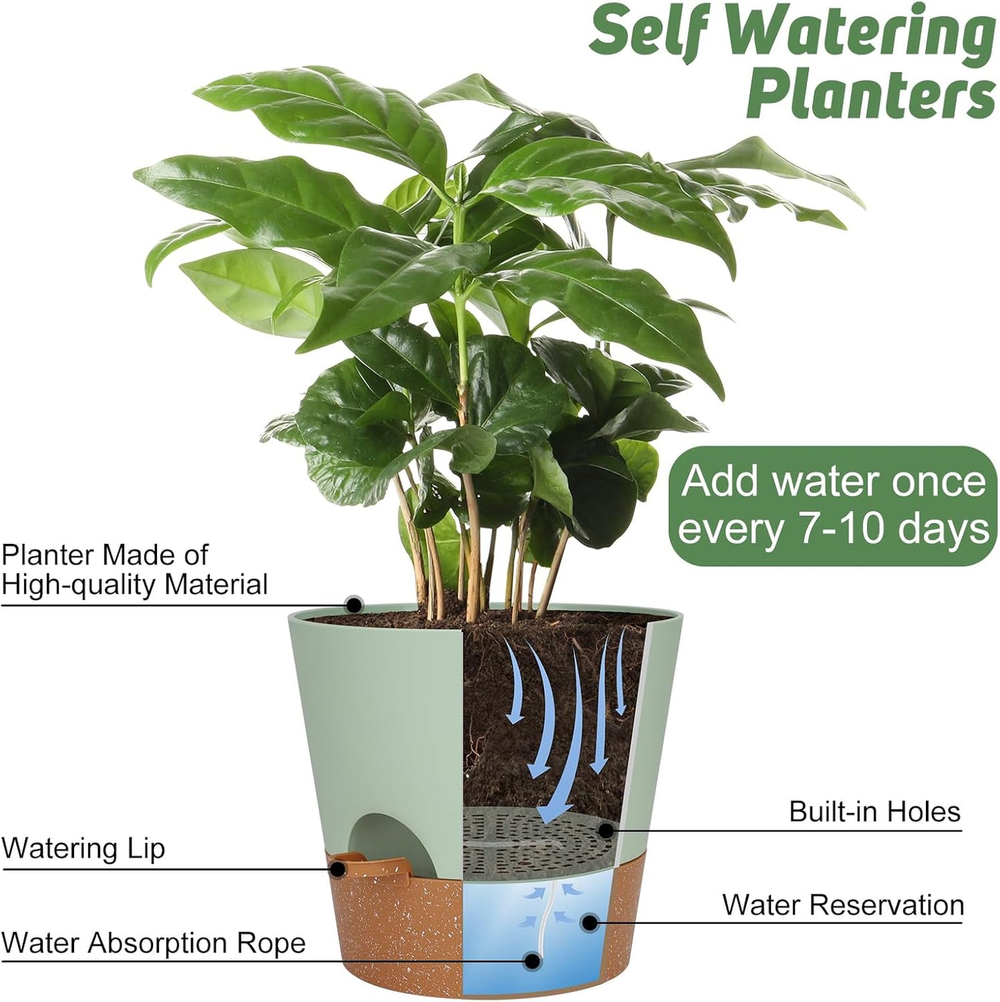 10-Inch Plant Pots, Self-Watering Planters with Drainage Holes & Saucers for Indoor and Outdoor Plants (2-Pack, Green)