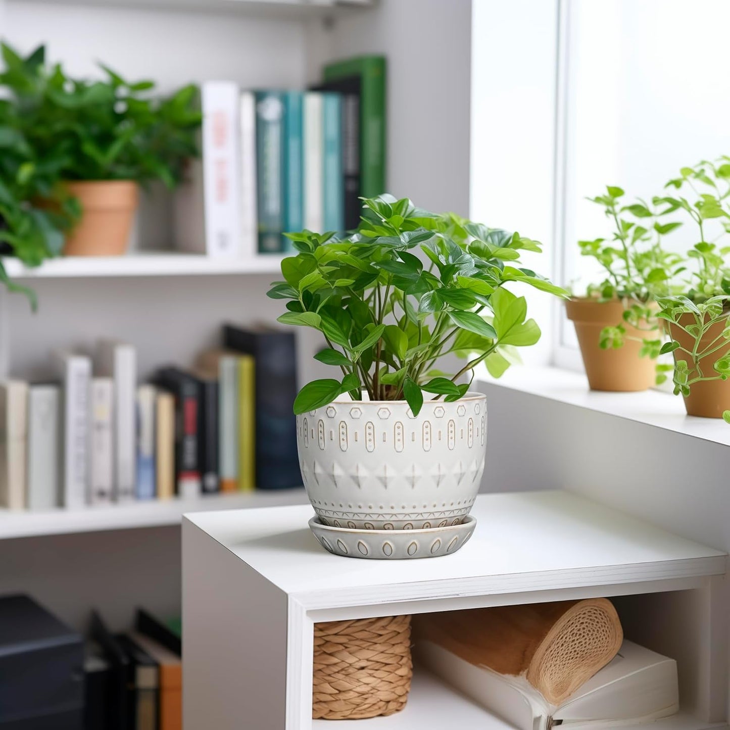 G EPGardening Ceramic Plant Pot - Succulent Pots with Drainage Hole and Saucer 5 Inch Planter for Indoor Plants Outdoor Decorative Round Flower Pot White