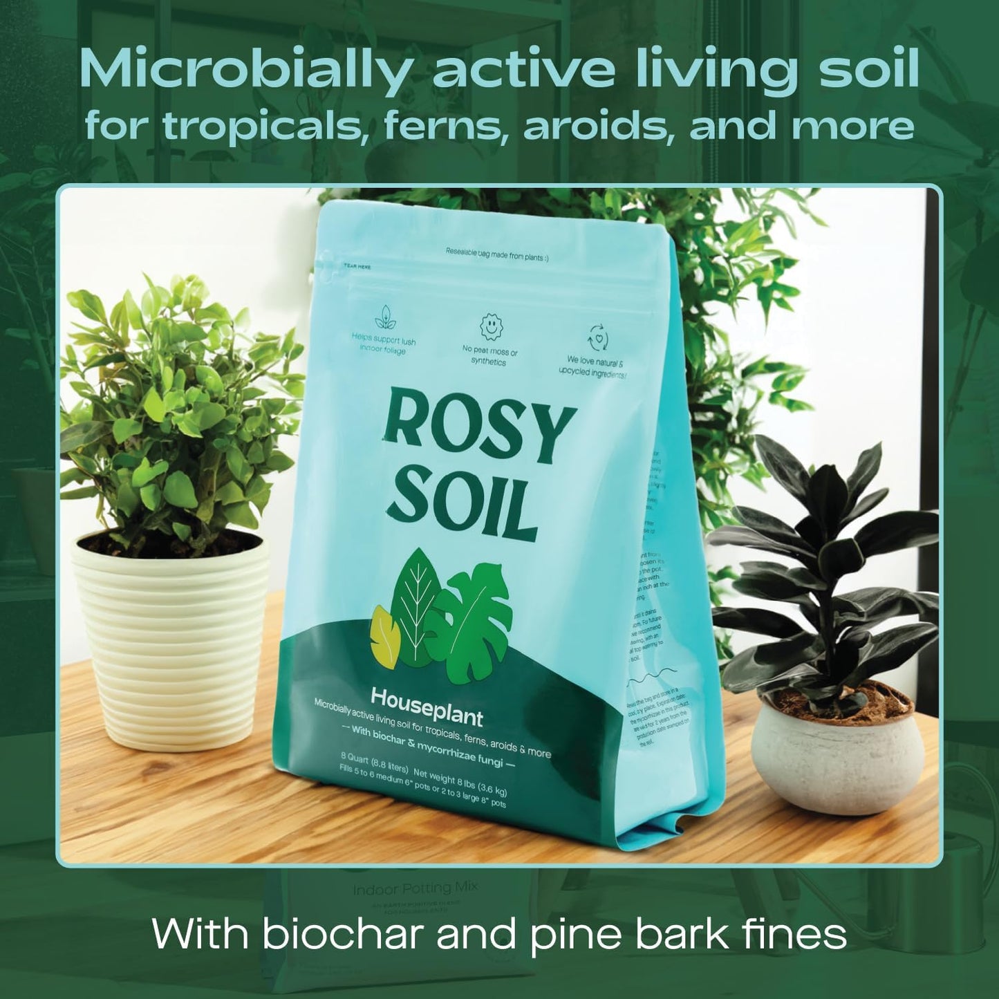 Rosy Soil Indoor Potting Soil for House Plants, 2 x 8 qrt - Organic Potting Soil Mix for Indoor Plants -Enriched w/Root-Boosting Biochar for Foliage Plants, Flowers, Herbs - Pack of 2