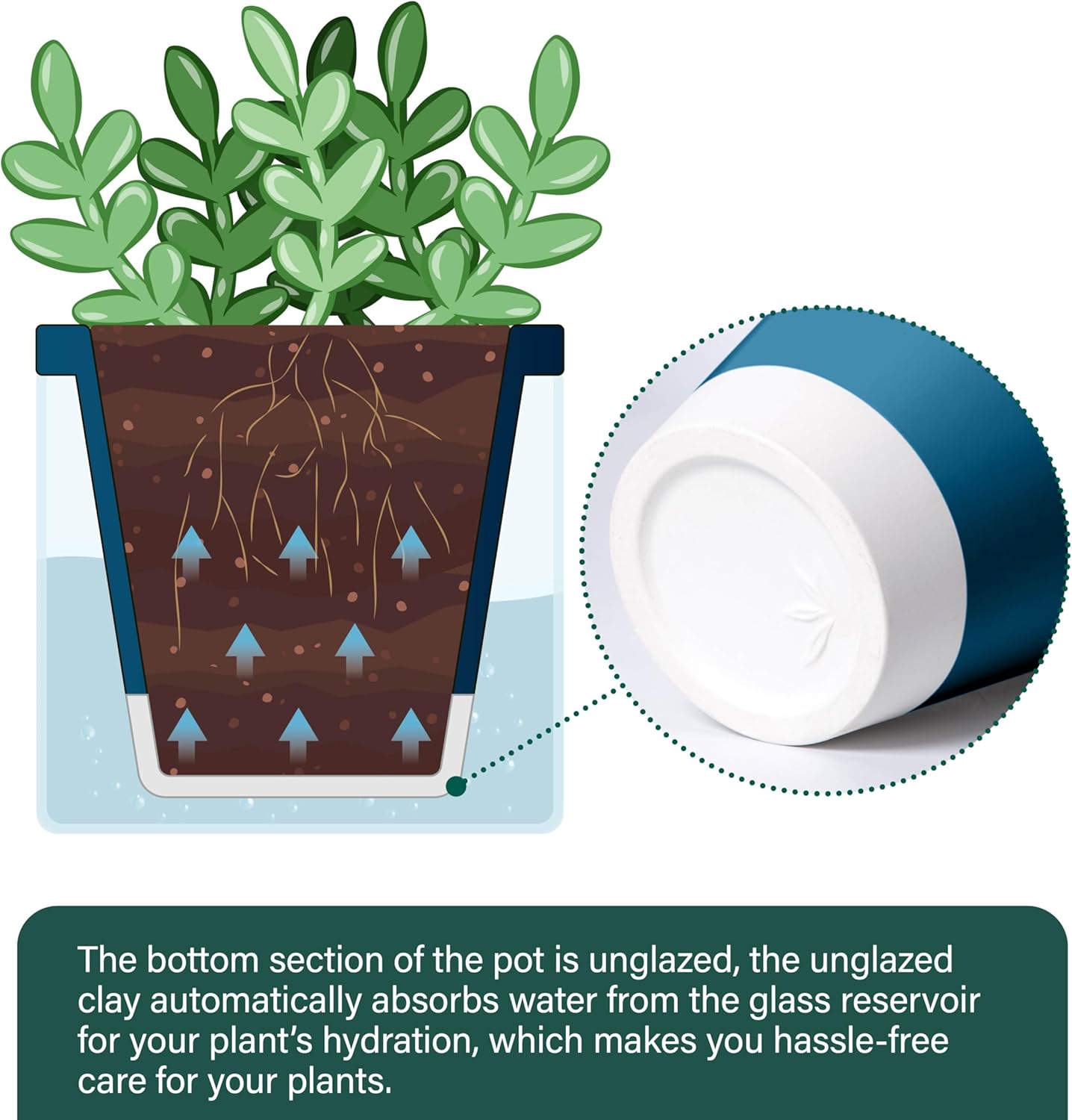 D'vine Dev 4 Inch Design Self Watering Planter for Indoor Plants, Blue Terracotta Pot with Cylinder Glass Cup, Set of 2, 37-Y-A-4