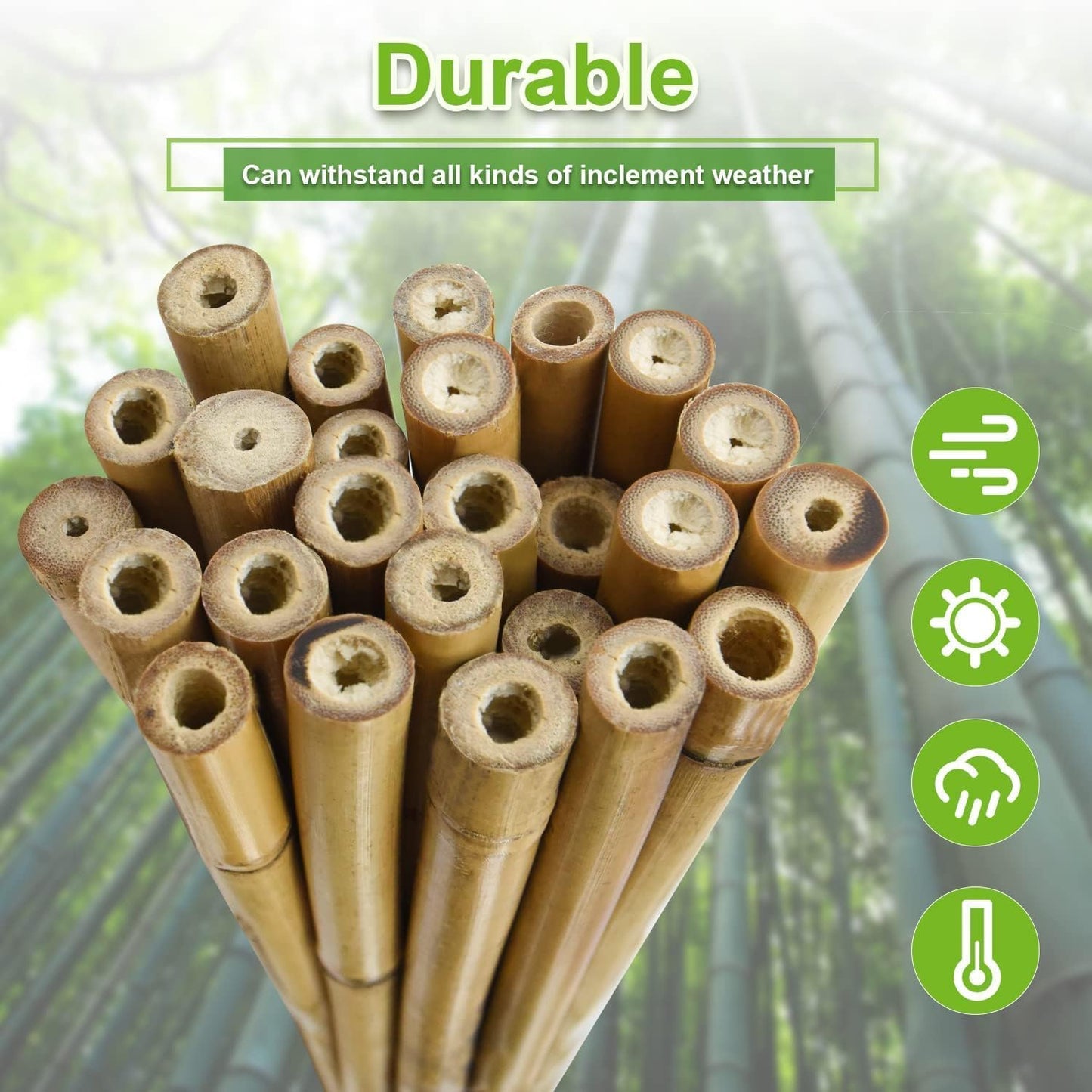 25pcs 1/2" D Thicker Heavy Duty Bamboo Stakes, 4.75FT Plant Stakes, Natural Garden Stakes for Tomato, Bean, Flowers,Trees Potted and Climbing Plant Support