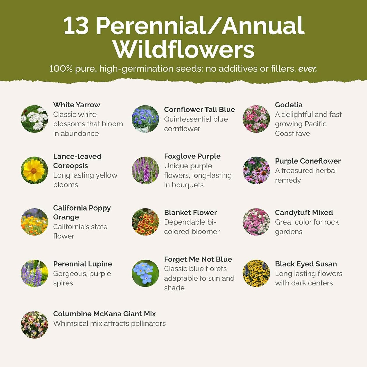 Eden Brothers Deer Resistant Wildflower Mixed Seeds for Planting, 50 lb, 24,000,000+ Seeds with Foxglove, Forget Me Not | Attracts Pollinators, Plant in Spring or Fall, Zones 3, 4, 5, 6, 7, 8, 9, 10