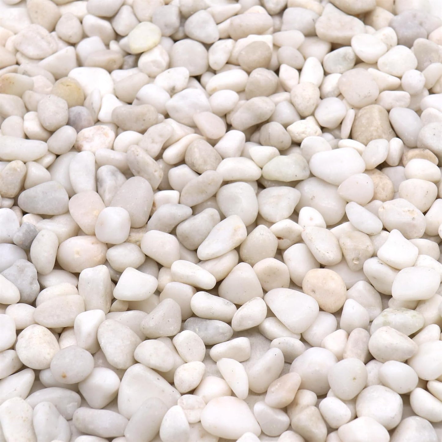 Rocks for Plants. White Lightly Polished Decorative Pebbles. 0.5 to 1 Inch 18 lbs. for Garden, Landscaping, Indoor, Vase fillers, Crafting, Succulents, pots, Plants