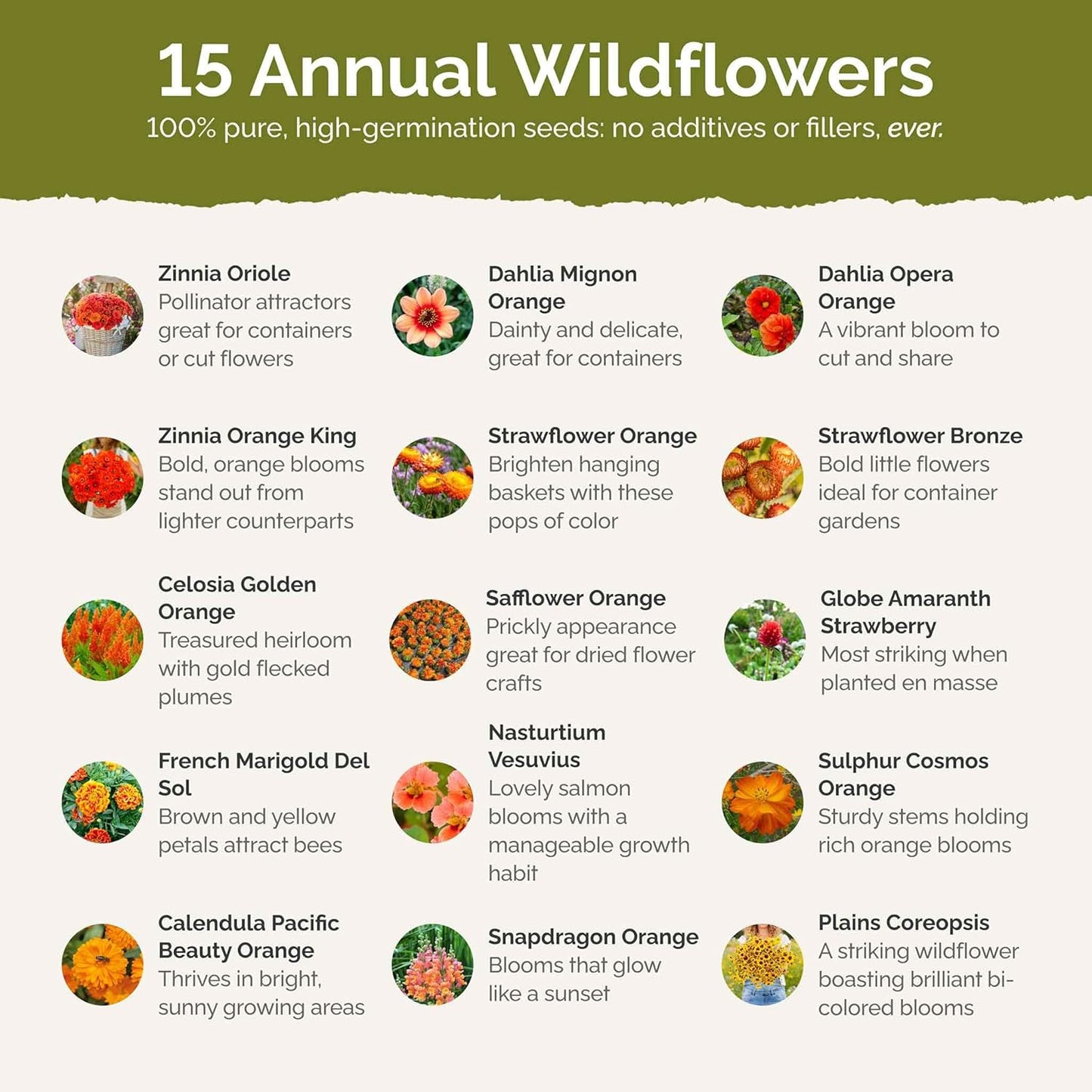 Eden Brothers Orange You Glad Flower Mixed Seeds for Planting, 1/4 lb, 120,000+ Seeds with Dahlia, Double Strawflower | Attracts Pollinators, Plant in Spring or Fall, Zones 3, 4, 5, 6, 7, 8, 9, 10