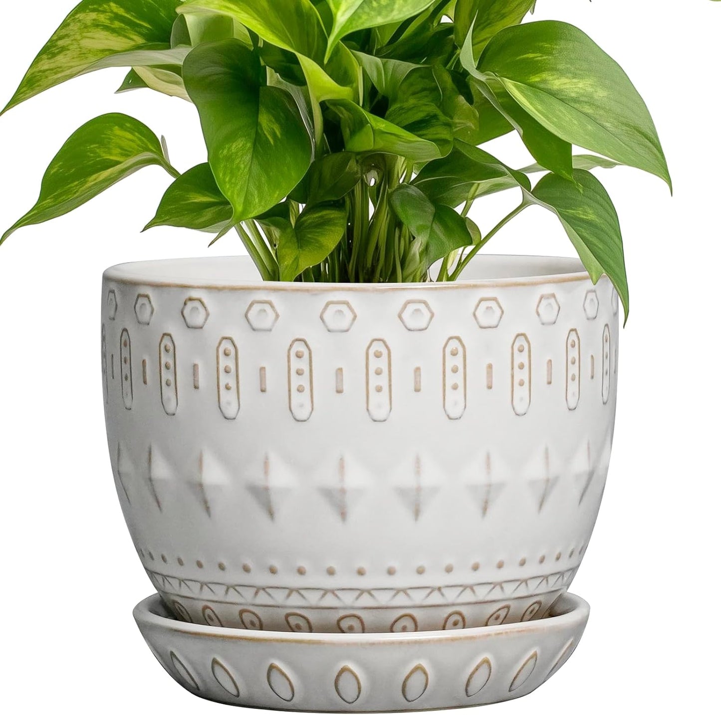 G EPGardening Ceramic Plant Pot - Succulent Pots with Drainage Hole and Saucer 5 Inch Planter for Indoor Plants Outdoor Decorative Round Flower Pot White