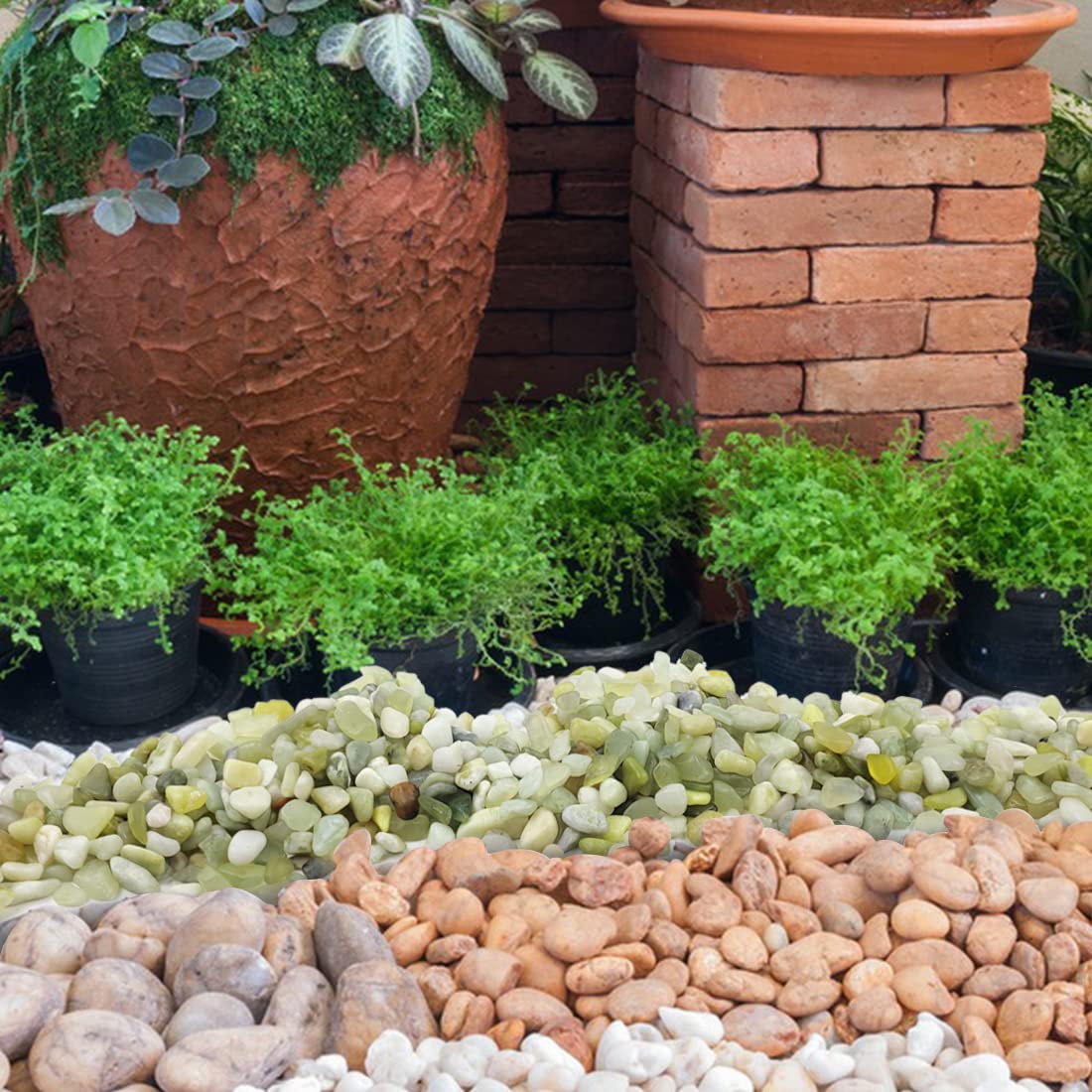 2LB Succulent and Cactus Jade Pebbles, 3/8 Inch Natural Decorative Polished Stones, River Rocks for Indoor Plants, Vases, Planters and Outdoor Gardening