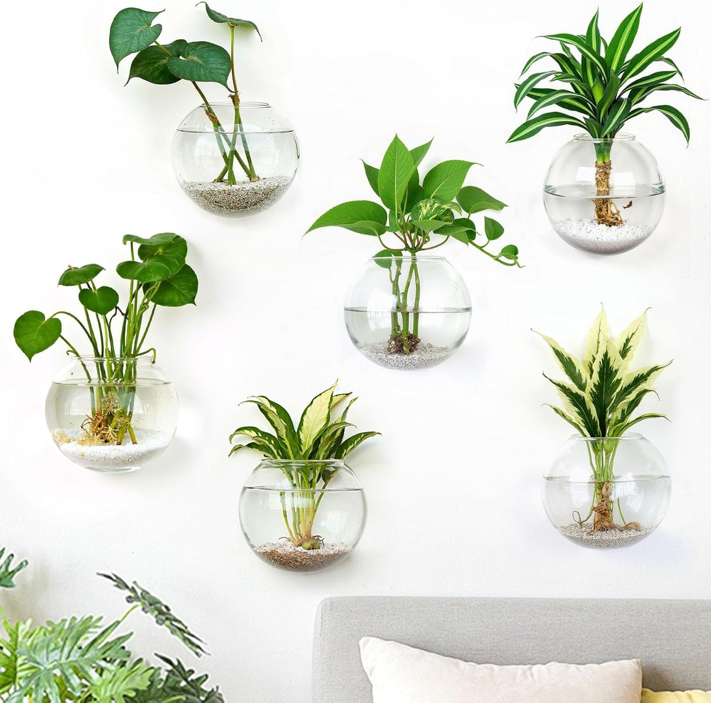 DomeStar 6PCS Wall Vases, Clear Planter Terrarium Station Wall Mounted Hanging Glass Vases for Home Office Living Room Decor Hydroponics Plants Propagation