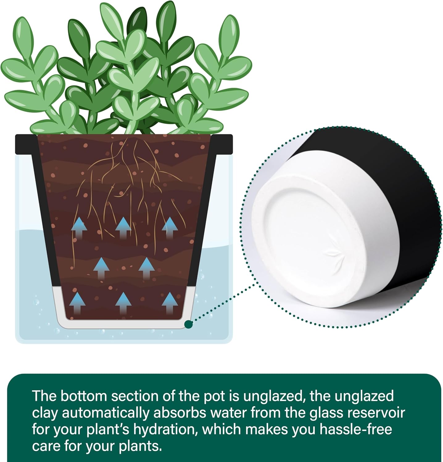 D'vine Dev 4 Inch Design Self Watering Planter for Indoor Plants, Black Terracotta Pot with Cylinder Glass Cup, Set of 2, 37-Y-A-3