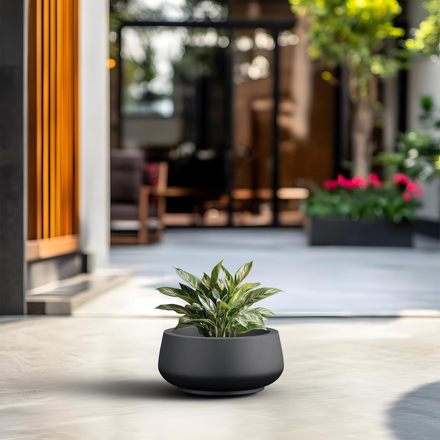 Kante 12.5" Dia Round Concrete Bonsai Planters, Outdoor Indoor Garden Plant Pot with Drainage Hole for Home, Patio, Garden, Black