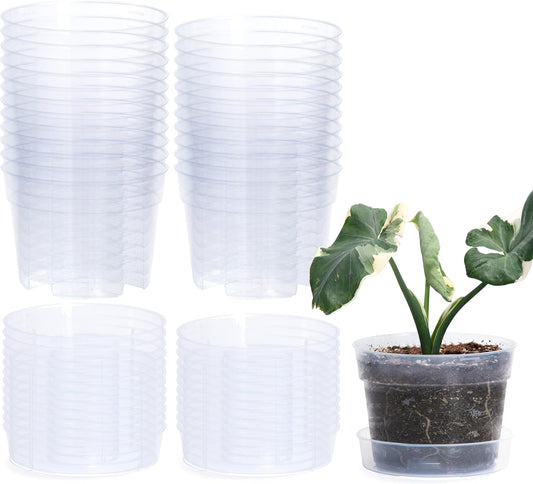 6 Inch Clear Plastic Plant Pot with Drainage Holes, Interlocking & Detachable Tray - Deep Saucer - Durable BPA-Free Plastic, Transparent Design, Raised Base for Airflow, Set of 24, 92-X-C-4