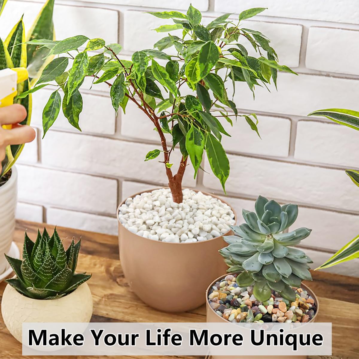 10LB Succulent and Cactus Gravel Pebbles, 3/8 Inch Natural Decorative Polished Stones, River Rocks for Plants, Vases, Aquariums, Terrarium and Outdoor Gardening, White