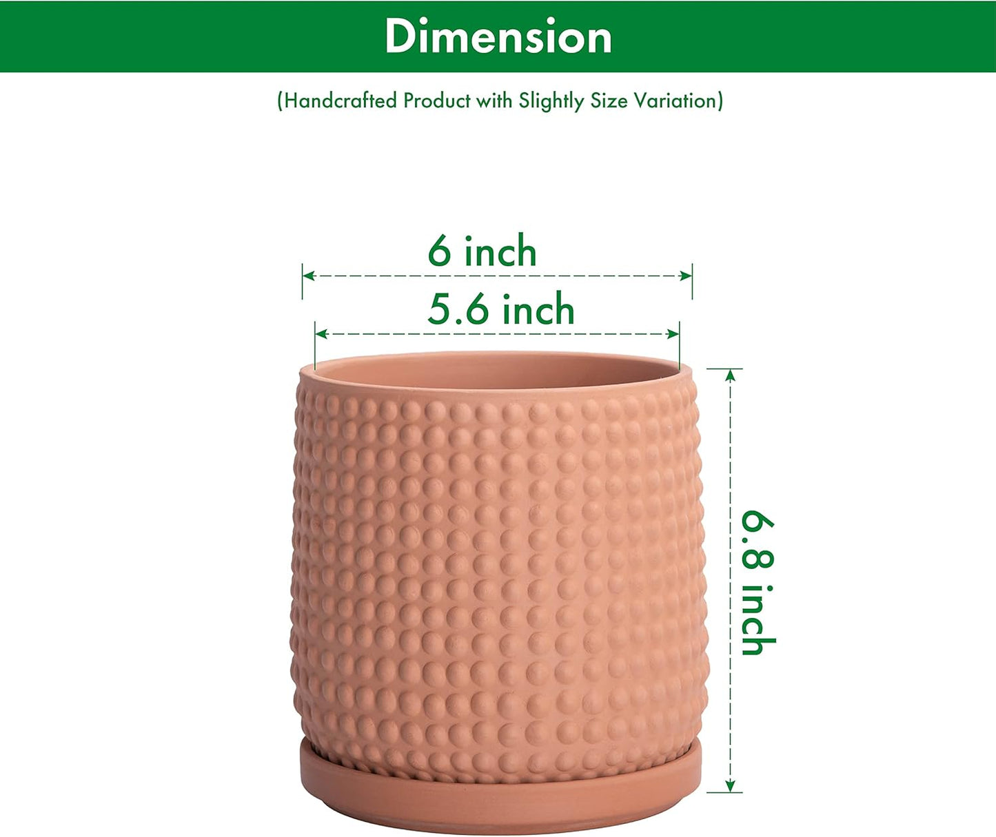 D'vine Dev Set of 2 Ceramic Plants Pots, 6 Inch Beaded Stoneware Flower Pot for Plants with Drainage Hole and Saucer, Terracotta, 27-E-X-7