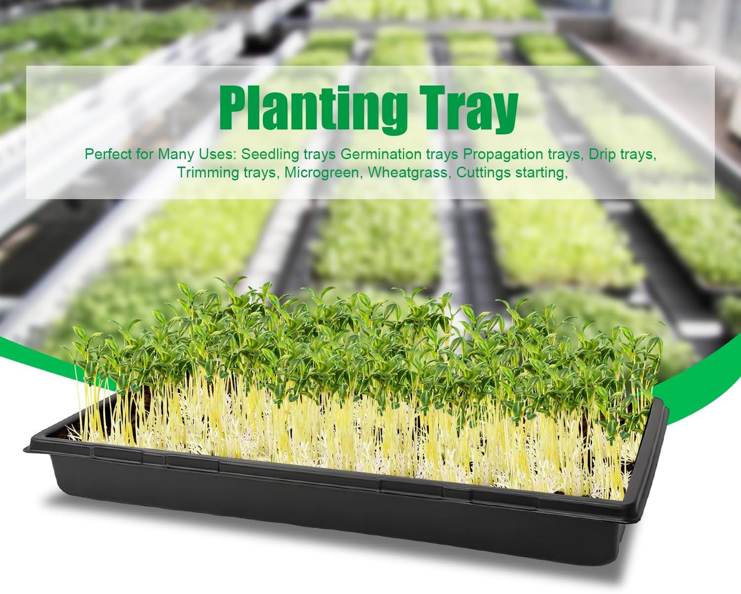 20 Pack 1020 Trays, No Drain Holes, 20" x 10", Extra Thick Heavy Duty Seed Starting Trays -Reusable Propagation Flats for Microgreens, Seedlings, Plant Germination, Fodder and Transplant