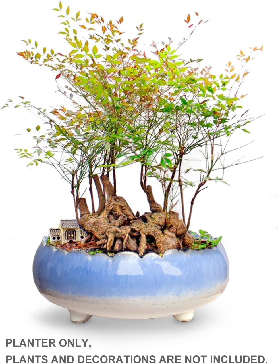 Dahlia 8.3'' Inch Large/Shallow/Wide Drip Glazed Ceramic Planter/Succulent Pot/Plant Pot, Blue