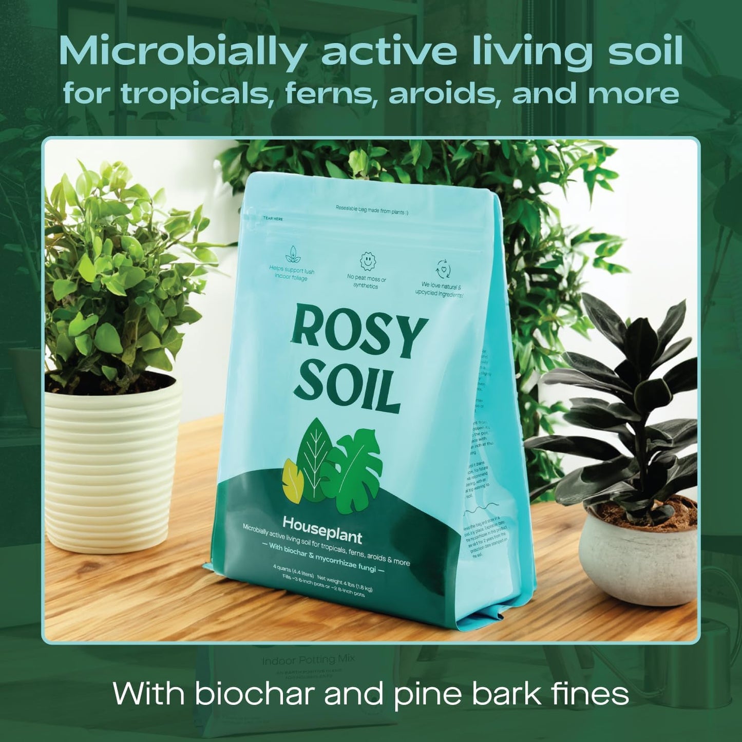 Rosy Soil Indoor Potting Soil for House Plants - Organic Potting Soil Mix for Indoor Plants - Enriched w/Root-Boosting Biochar for Foliage Plants, Flowers, Herbs - Peat Free, Less Prone to Gnats - 4qt