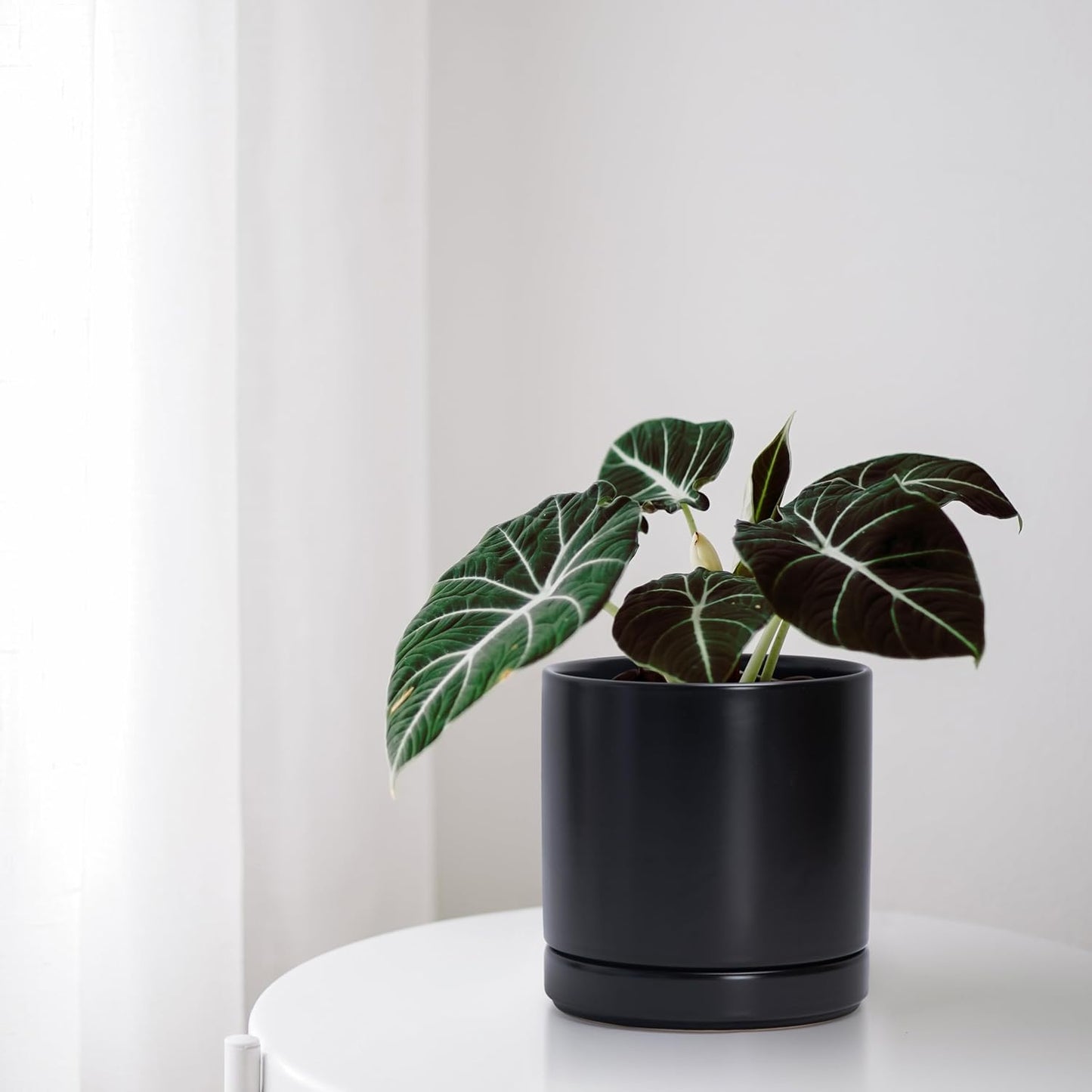 D'vine Dev 6.5 Inch Ceramic Planter Pot with Drainage Hole and Saucer, Indoor Cylinder Round Flower Pot, Black, 94-O-C-2