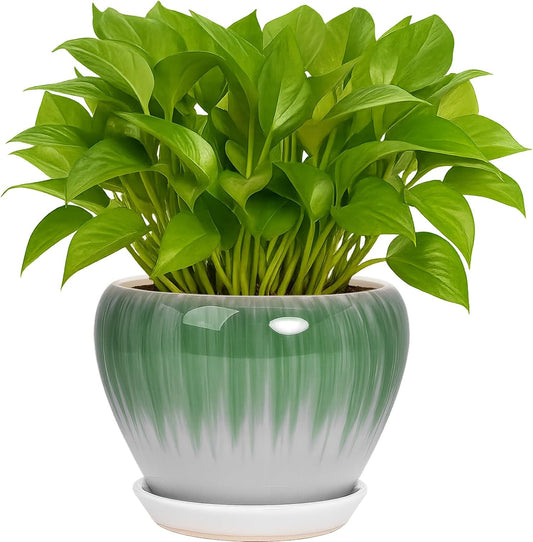 Deep Dream 6 Inch Plant Pots- Ceramic Planter Pot with Drainage Hole and Saucer, Round Flower Pot for Indoor Outdoor Succulent, Snake Plants and Cactus, White&Green