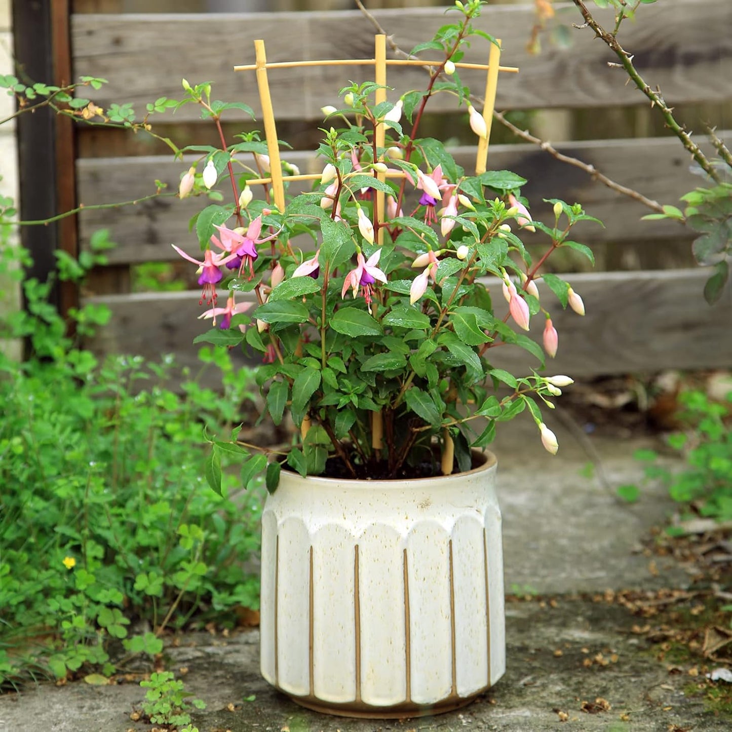 3Pack Bamboo Trellis 16 Inch Fan Shaped Small Plant Trellis for Indoor Potted Plants Climbing Monstera Orchid Vine Hoya Houseplant