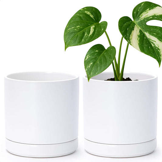 D'vine Dev Set of 2 Plants Pots, 6.5 Inch Ceramic Planter Pot for Plants with Drainage Hole and Saucer, White, 94-V-C-1