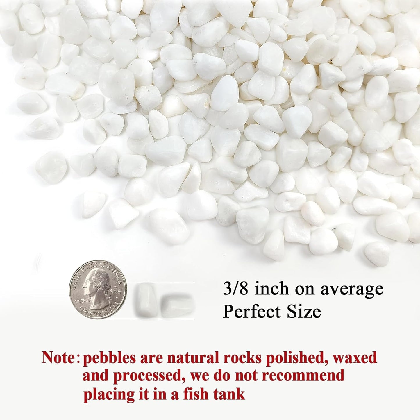 White Pebbles for Indoor Plants, 3/8 Inch Decorative White Stones. Polished River Rocks for Potted Plants Vase Cactus Bird Bath and Outdoor Garden Landscaping