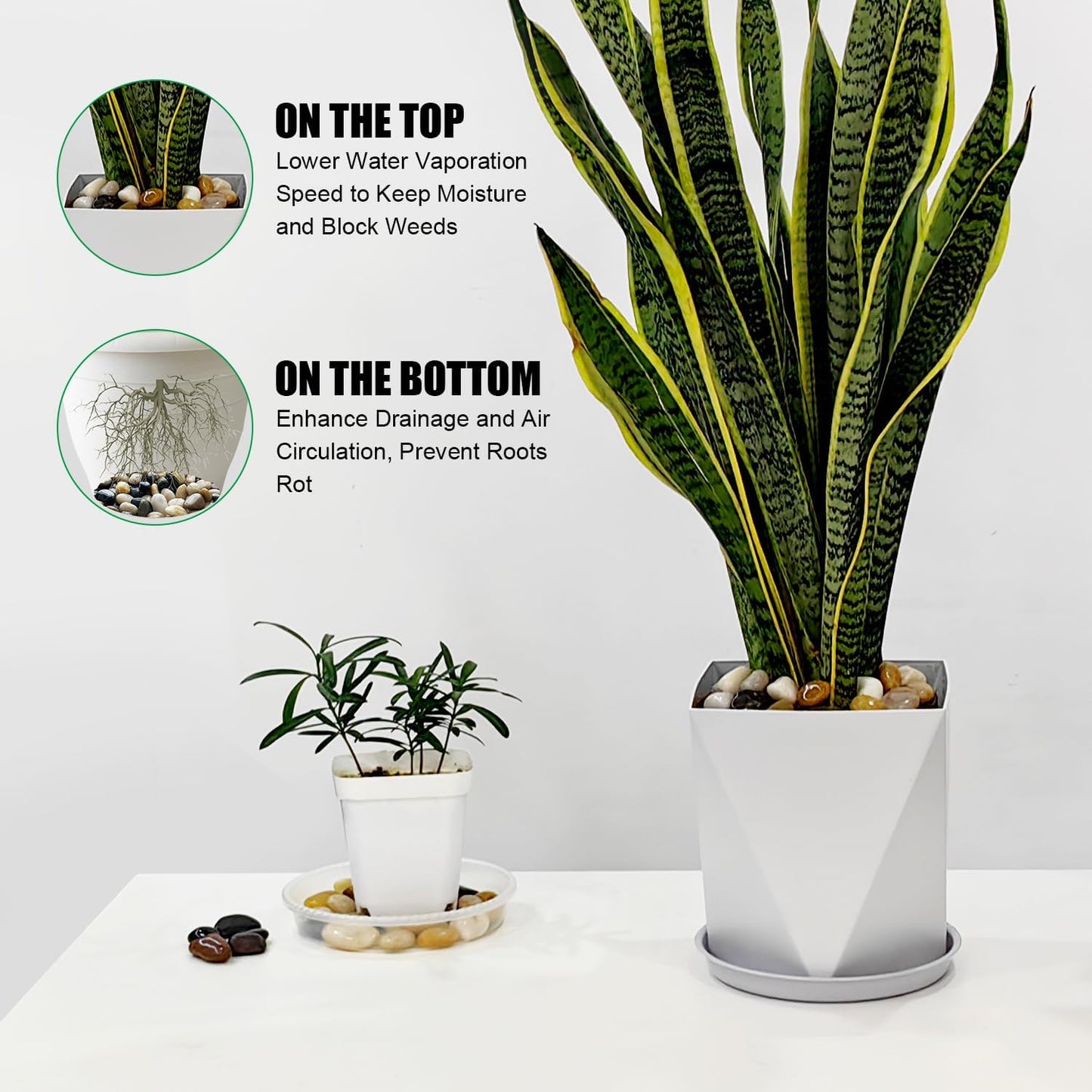 River Rocks 10 Lbs,0.4-1.2 Inch Pebbles for Indoor Plants, High Polished Stones for Garden Landscaping, Smooth Gravel Filler for Outdoor Plants, Succulents, Fish Tank and Vases