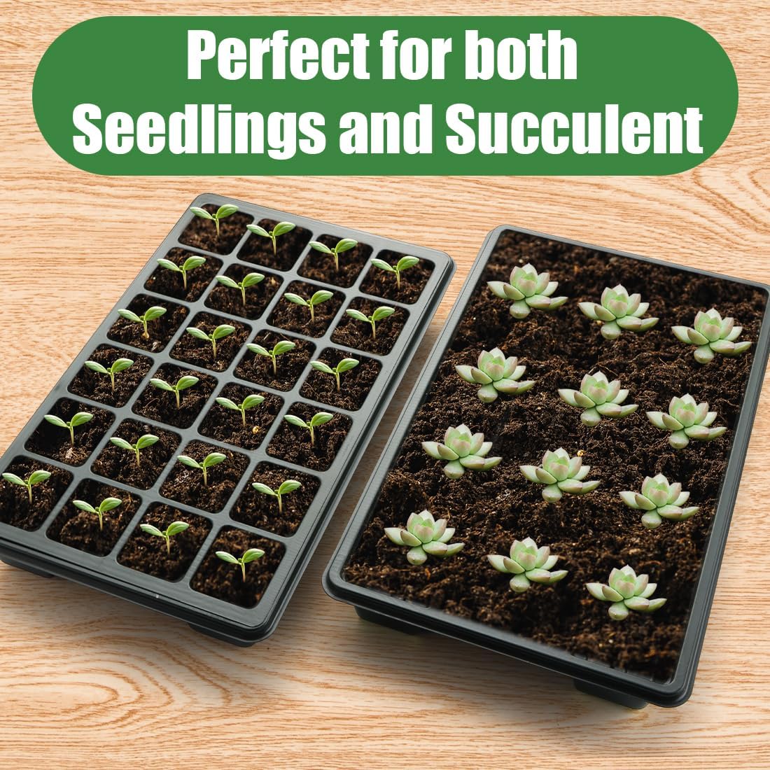 Seed Starter Tray with Dome-5 Sets 24XL Cell Seedling Trays(Total 120 Cells), Plant Germination Tray with Humidity Vented Lid and Base, Mini Propagator Plant Greenhouse for Seed Growing