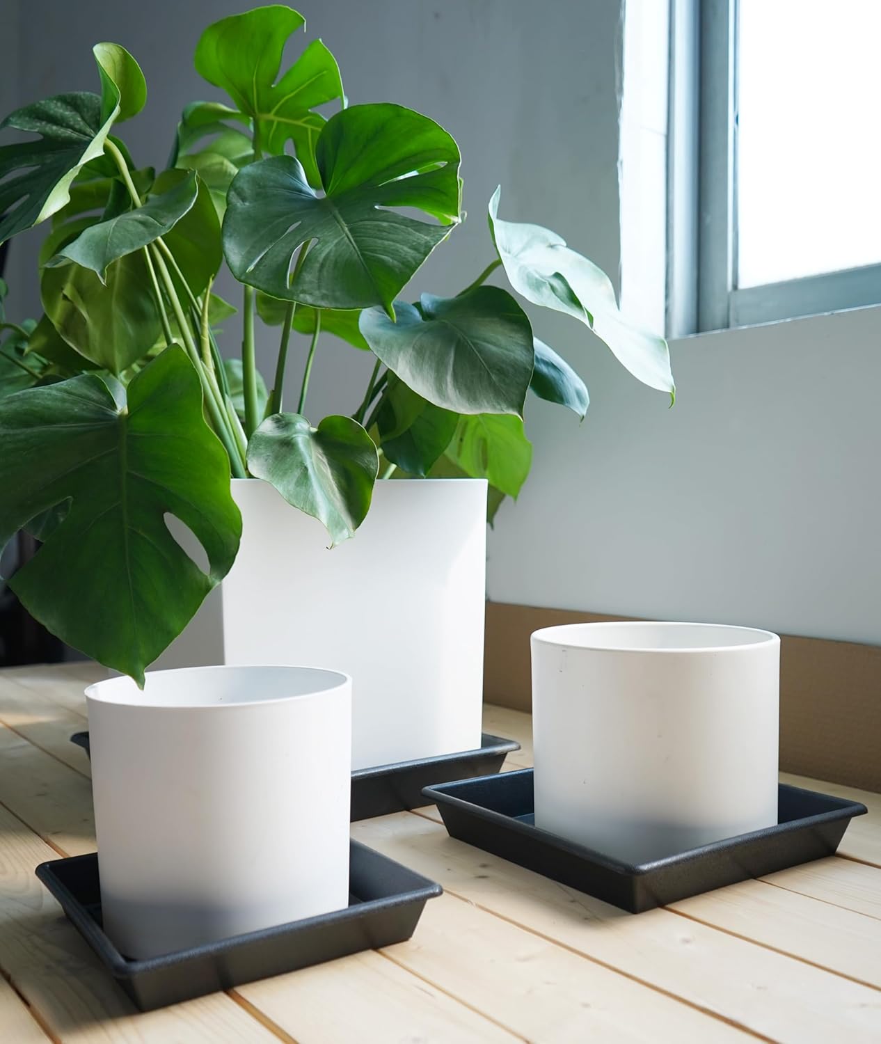 Square Plant Saucer 8 Inch 2 Pack 6 8 10 12 14 16 18 20 Inch, Plant Trays for Pots Heavy Duty Plastic Plant Saucers for Indoors Outdoors, Flower Pot No Holes Plant Drip Trays