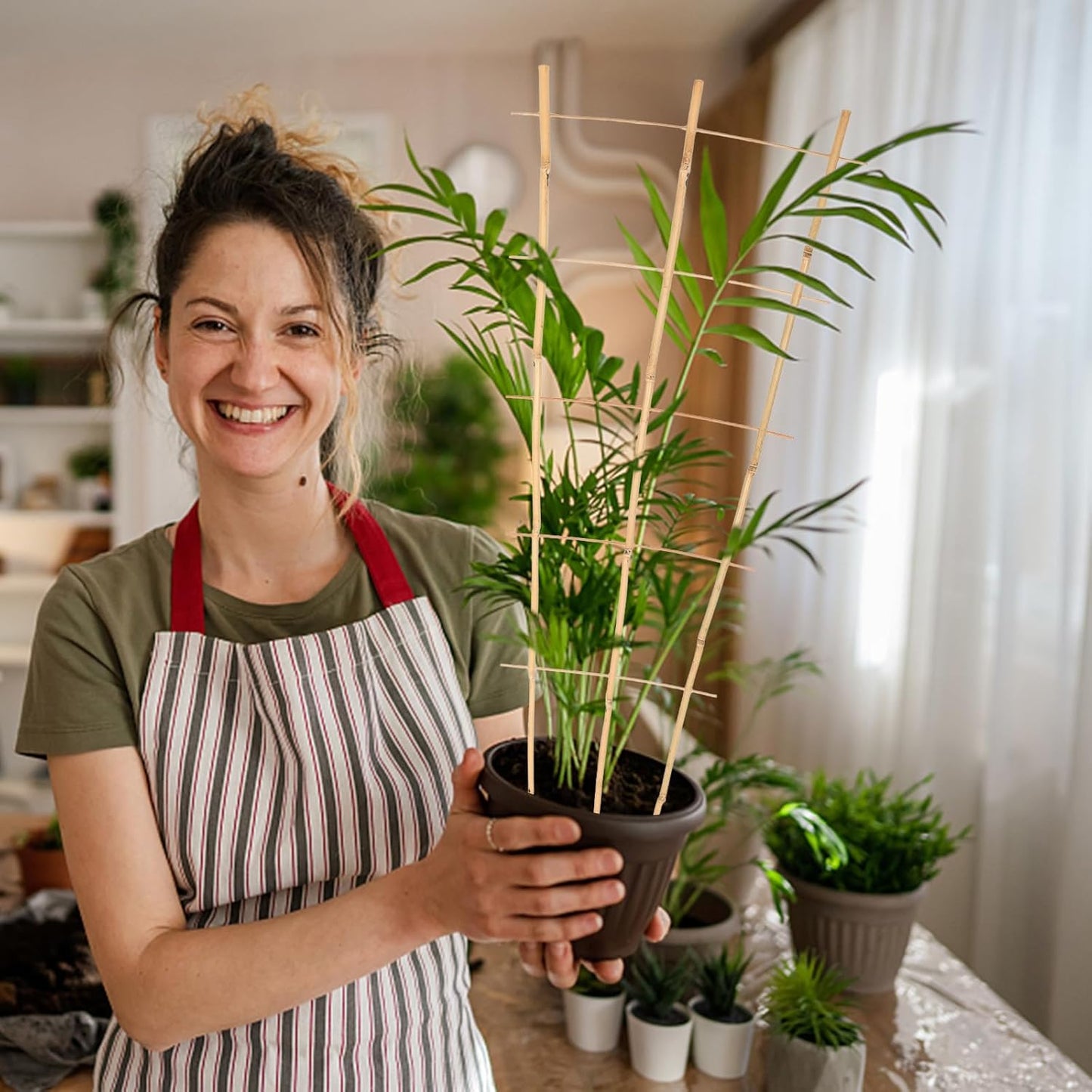 3PCS Fan-Shaped Bamboo Trellis, 2Ft Plant Trellis Indoor, Small Trellis for Potted Plants Indoor, Climbing Plants, Vegetables