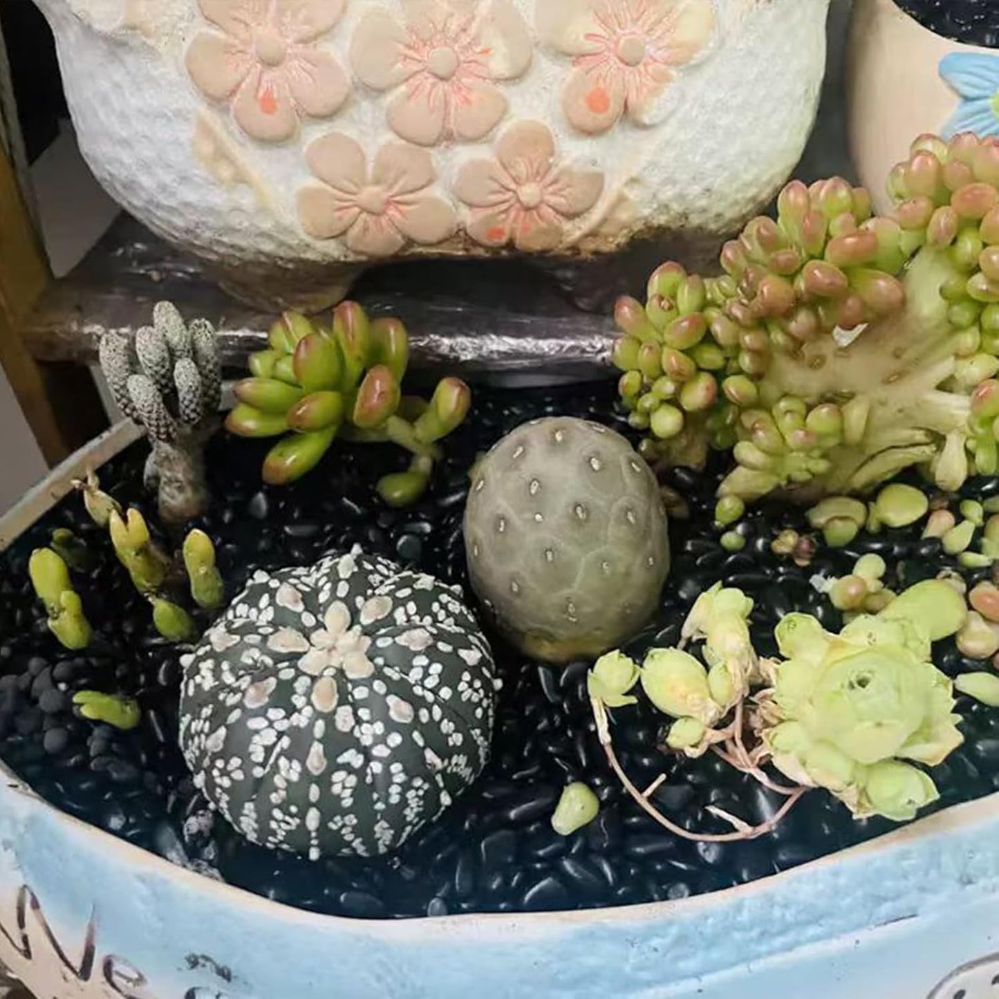 5 lbs Pebbles for Indoor Plants. 3/8 inch Small Black Stones, Decorative Black River Rocks for Plant Outdoor, Vase, Landscaping and Garden