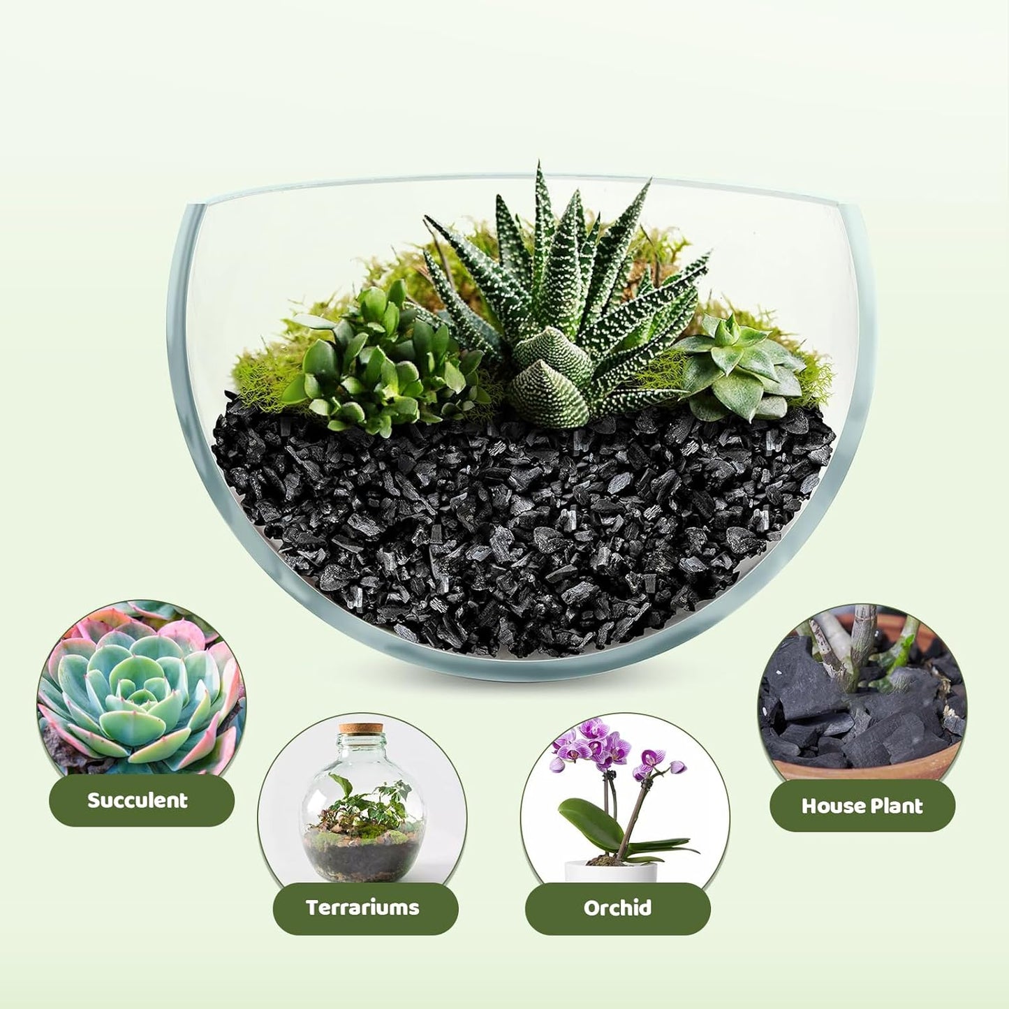 Horticultural Charcoal 2qt for Plants, Actived Charcoal Terrarium Supplies, Suitable for Indoor Plants, Succulent, Orchid, Cactus, Bonsai