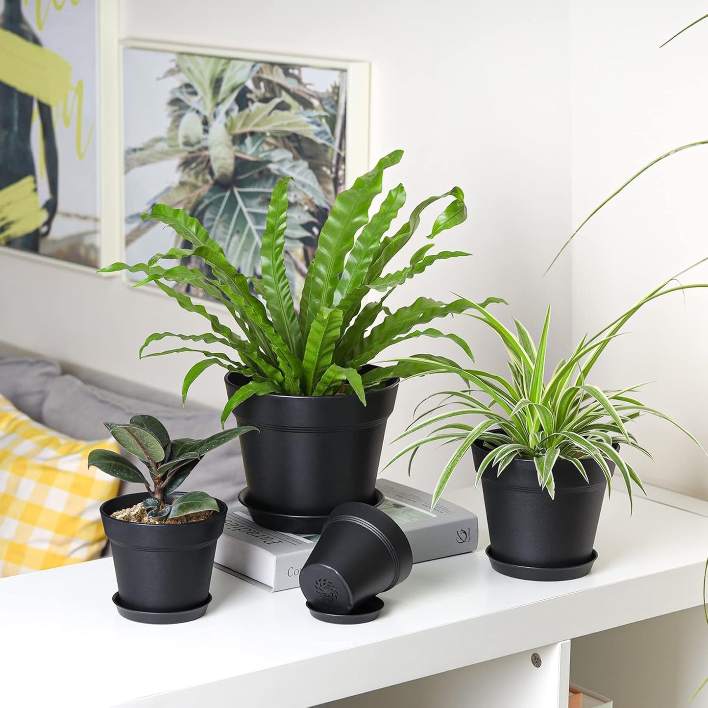 T4U 7.5 Inch Plant Pots 6 Pcs, Flower Pots for Indoor Plants Plastic Pots for Plants with Drainage Holes and Saucer, Planters for Indoor Plants for House Cactus Succulent Black