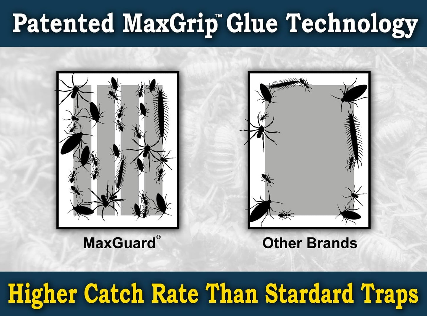 MaxGuard MaxGrip Glue Traps (24 Traps) Non-Toxic Extra Sticky Glue Board Pre-Baited with Fruity Scent Attractant Trap & Kill Insects, Bugs, Spiders, Crickets, Scorpions, Cockroaches, Centipedes, Mice