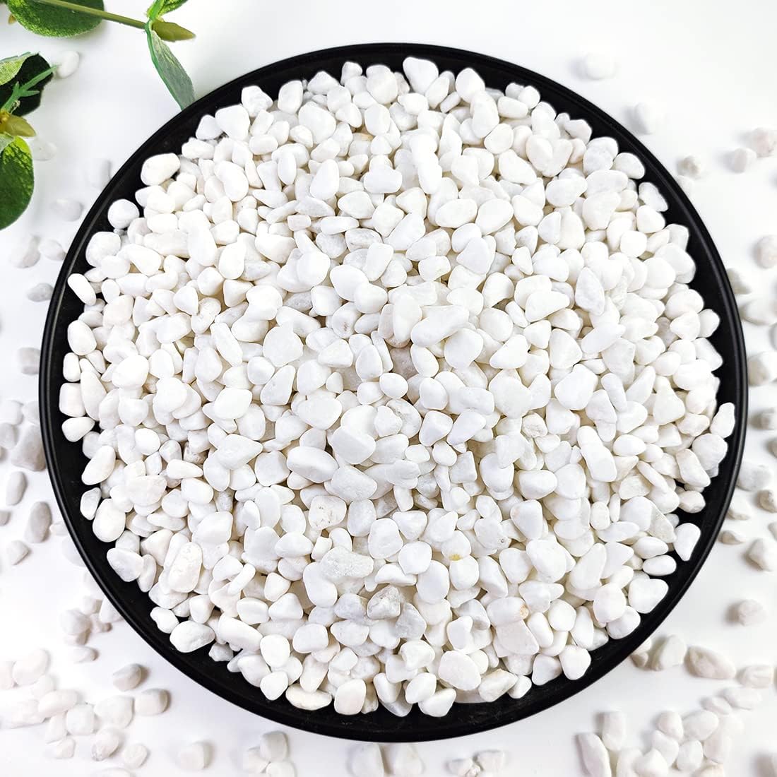 5LB Succulent and Cactus Gravel Pebbles, 1/5 Inch White Natural Decorative Polished Stones, River Rocks for Plants, Vases, Aquariums, Terrarium and Outdoor Gardening
