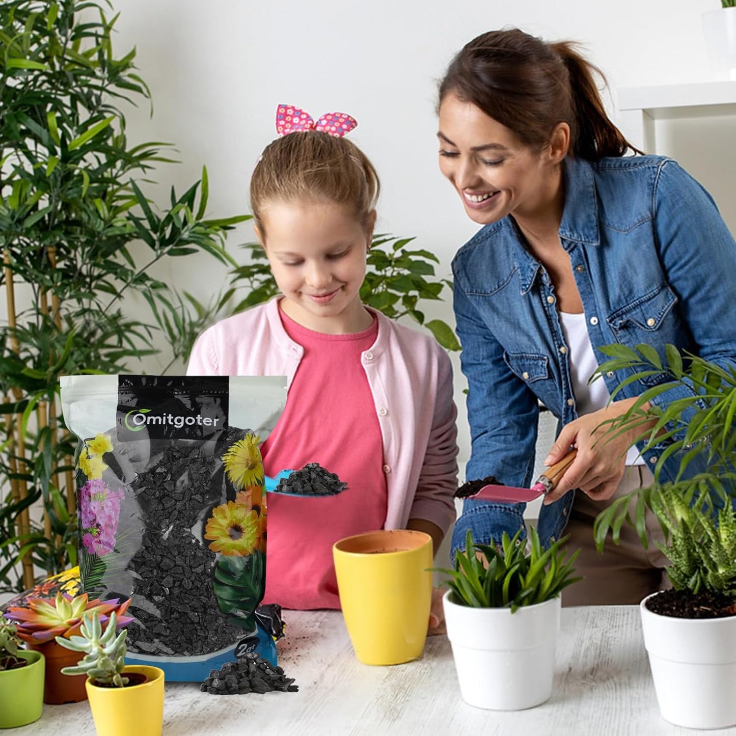 Horticultural Charcoal 4qt for Plants, Actived Charcoal Terrarium Supplies, Suitable for Indoor Plants, Succulent, Orchid, Cactus, Bonsai