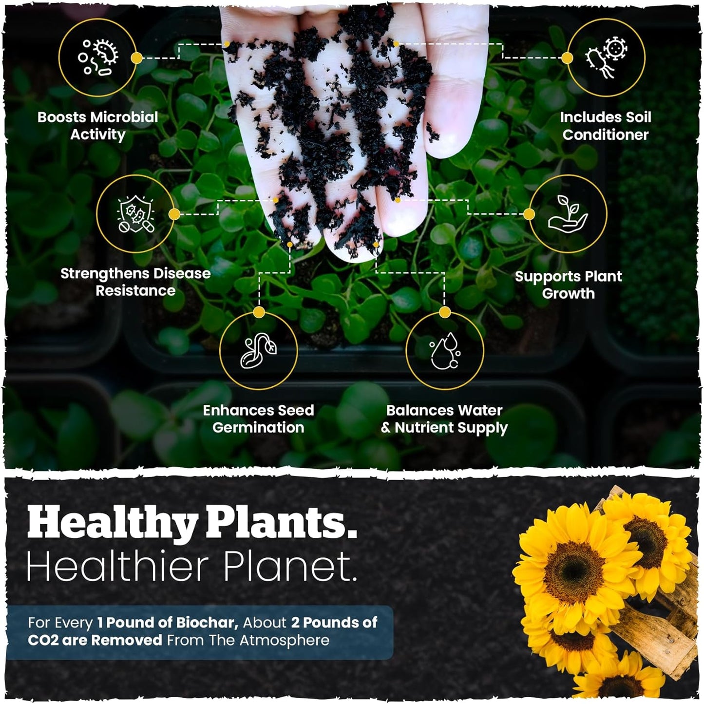 Wakefield Premium Indoor Potting Soil - Professional Biochar & Probiotics with CarbonBoost Technology - Ultimate Organic Potting Mix for Indoor & Outdoor Plants, Succulents & House Plants - 2Quarts