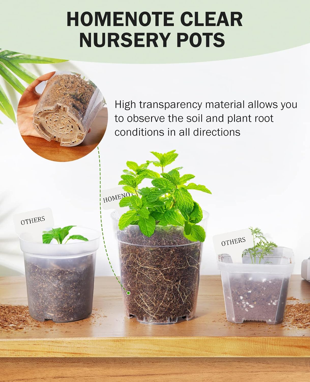 homenote Clear Nursery Pots for Plants,3 Inch Plant Pot for Planting Plastic Seedling with Drainage Holes Seed Starter Flower High Transparency with 20 Labels (60 Pack)