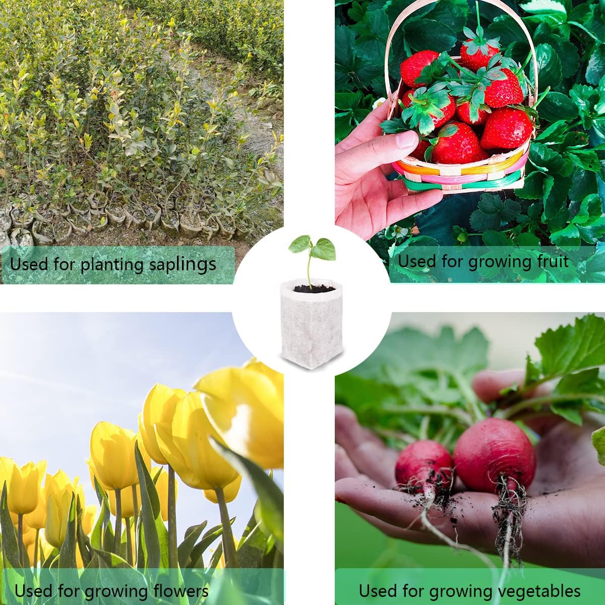 gardtree Plant Nursery Bags 11.7” x 13.5” 50PCS, Non-Woven Biodegradable Plant Grow Bags Fabric Seedling Starter Pots for Vegetable Flower Fruit Saplings Tree, Home Garden Supply